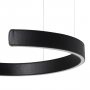 10025/400 Black Ring подвесной светильник интернет-магазин Loft IT фото