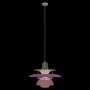 10113 Pink подвесной светильник Loft it Floret фото