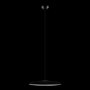 10119 Black подвесной светильник Loft it Plato фото