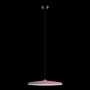 10119 Pink подвесной светильник Loft it Plato фото