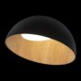 10197/500 Black потолочный светильник Loft it Egg фото