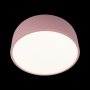 10201/350 Pink потолочный светильник Loft it Axel фото