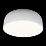 10201/480 White потолочный светильник Loft it Axel фото