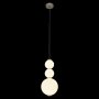 10205/D подвесной светильник Loft it Pearls фото