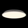 10226 White потолочный светильник Loft it Brim фото